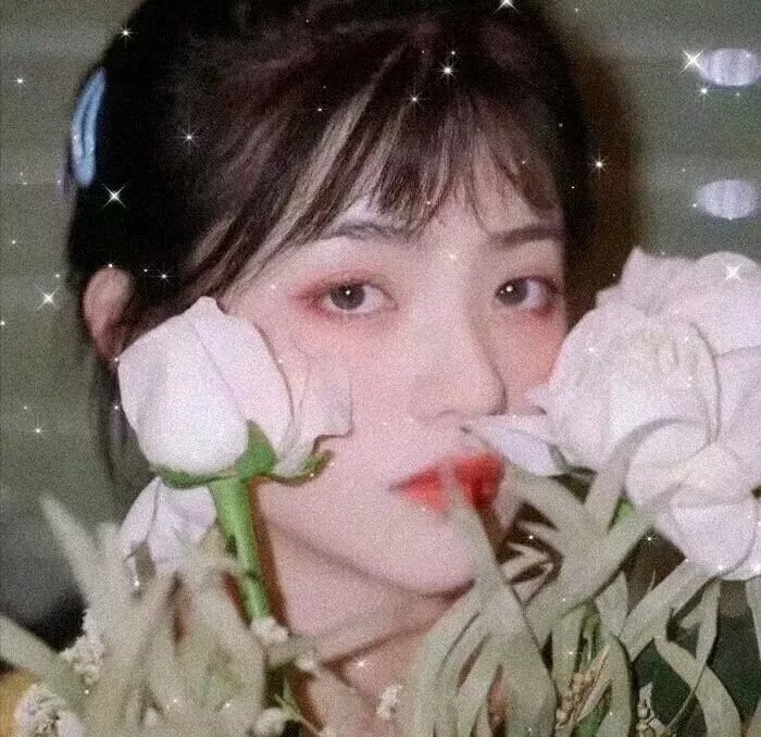胡歌